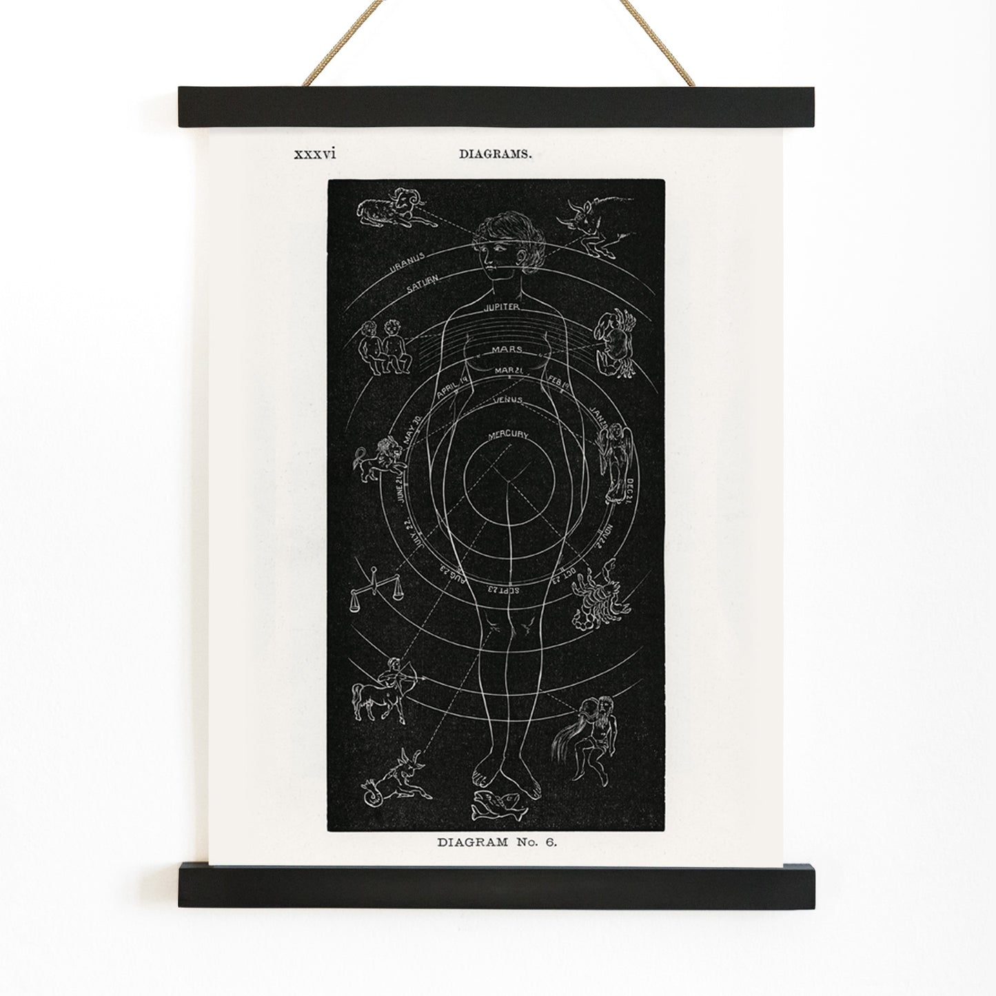 Astrological human body diagram and poster with zodiac signs planets and symbols by Hiram Erastus Butler from Solar Biology, with wooden magnetic frame on white background