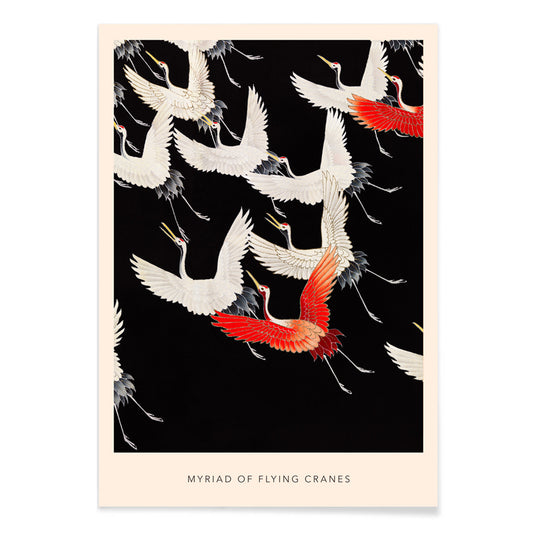 Furisode with a Myriad of Flying Cranes traditional Japanese artwork poster featuring elegant white and red cranes in flight on a black background, with black aluminium frame on white background