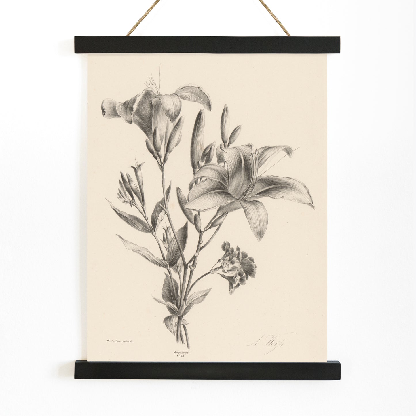 Detailed black and white botanical illustration of two lilies by Anton Weiss titled Two black and white lilies poster, with wooden magnetic frame on white background