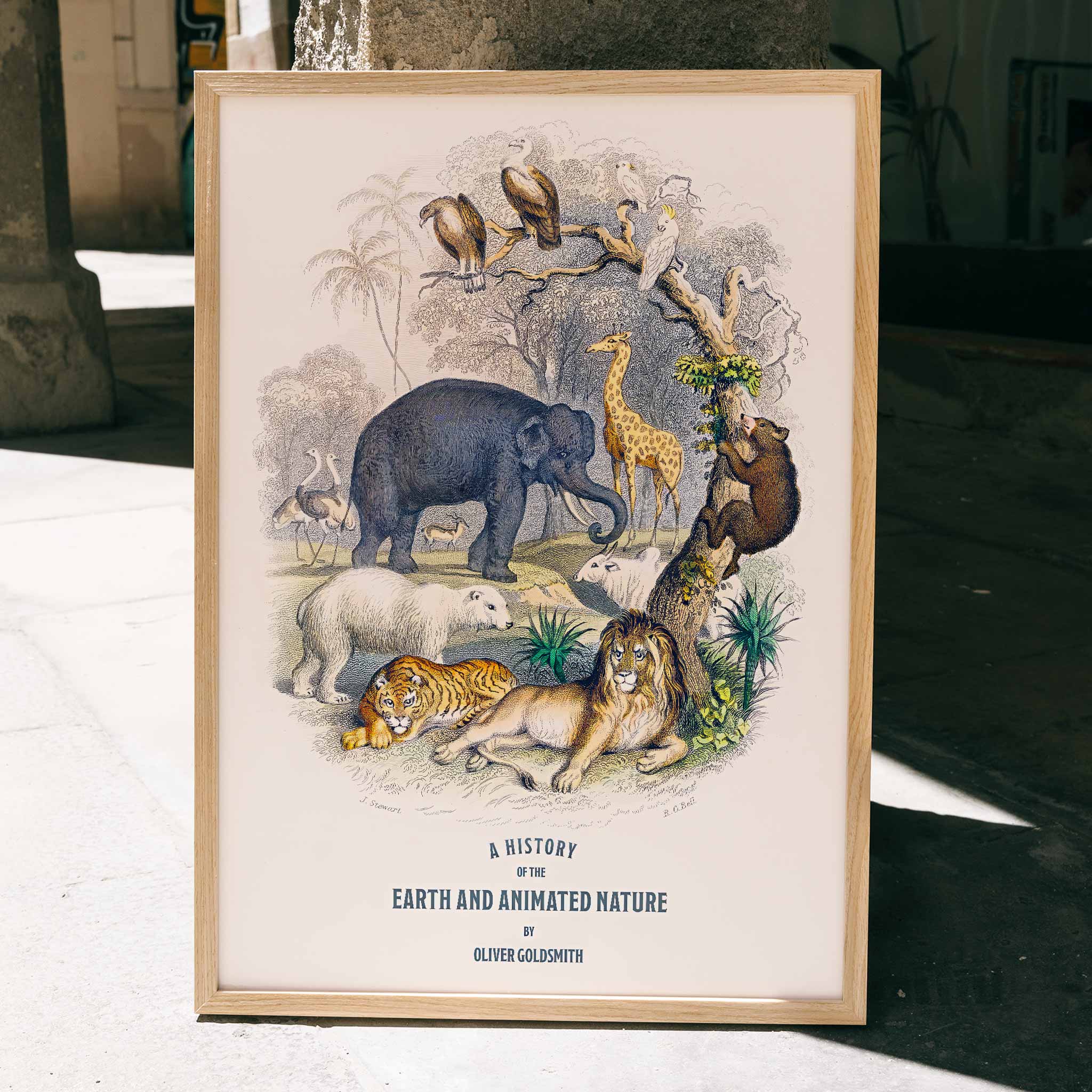 lion-elephant-giraffe-bird-