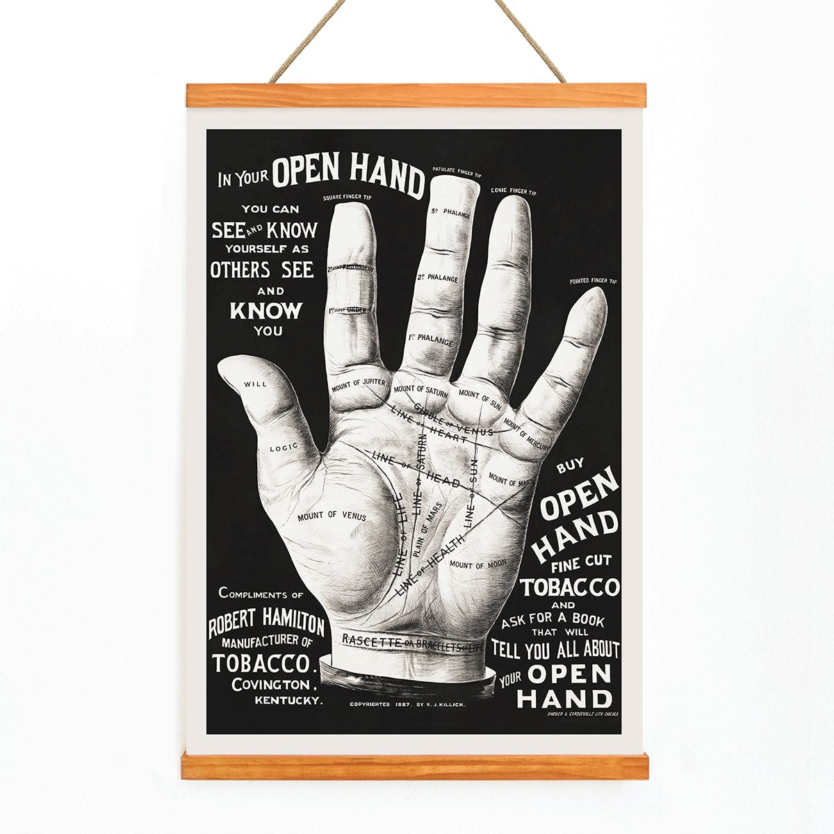 Palm reading diagram and detailed palm poster with labeled lines and mounts artwork titled Open hand by R J Millock and J Halleck, with wooden magnetic frame on white background