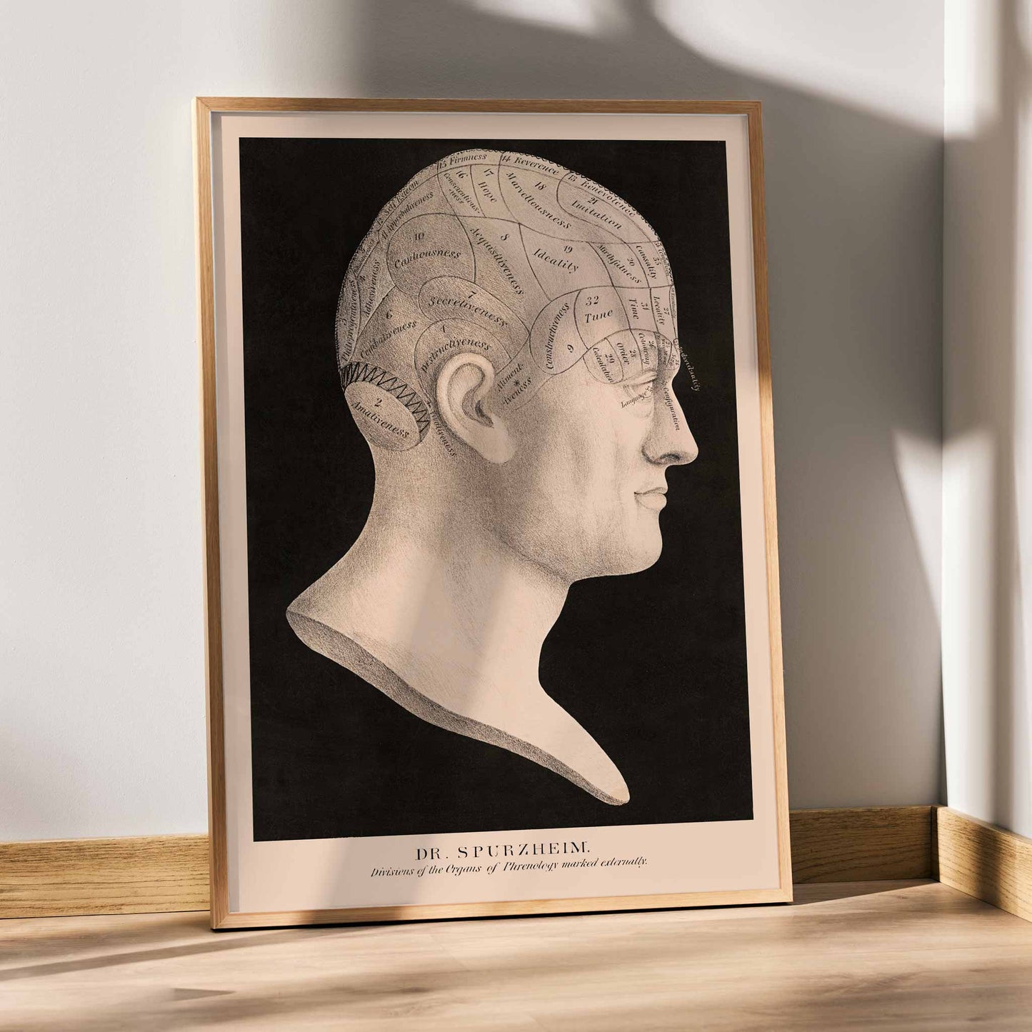 Dr. Spurzheim Divisions of the organs of phrenology poster labeled human head profile vintage black and white, with wooden magnetic frame on white background