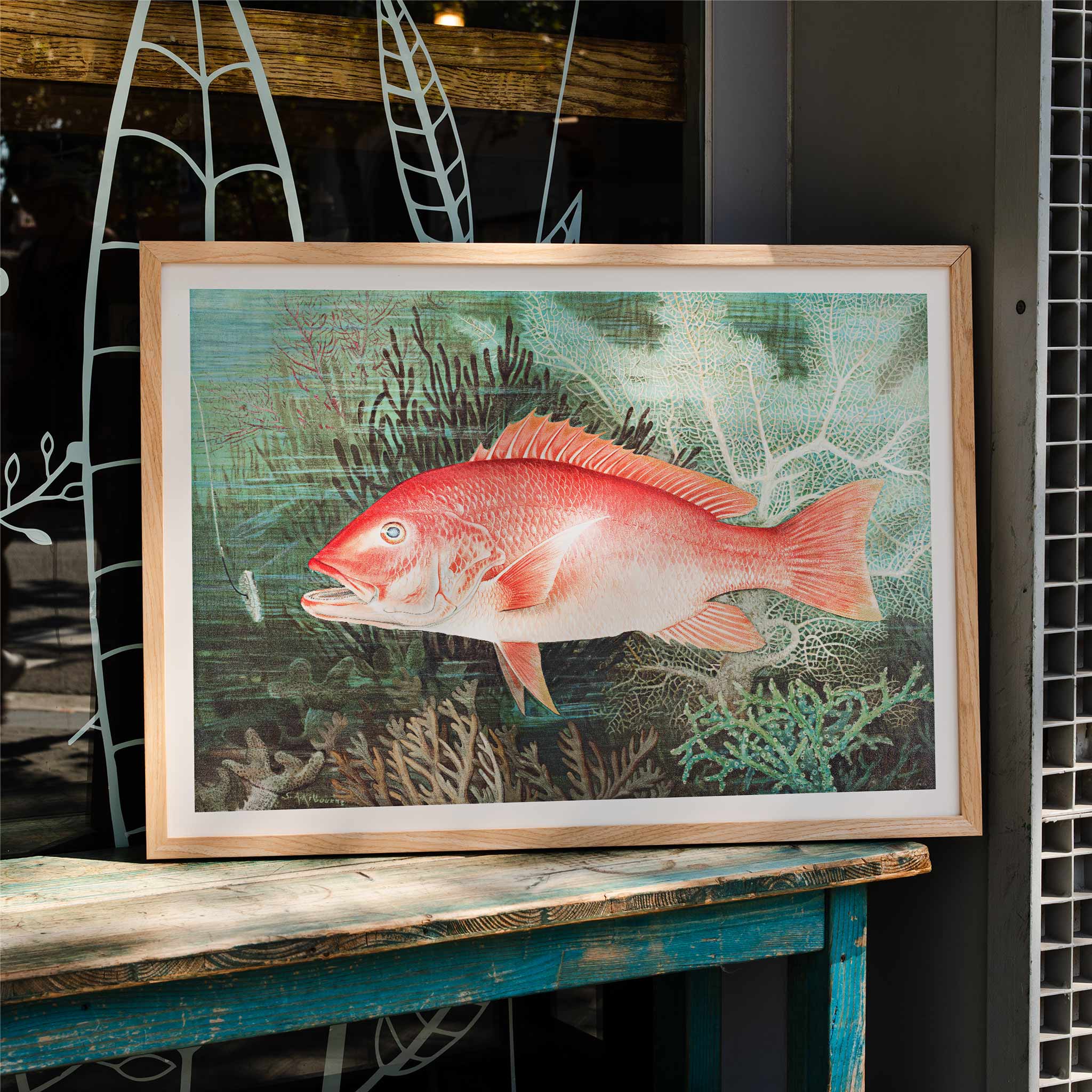 red-snapper-fish-underwater-