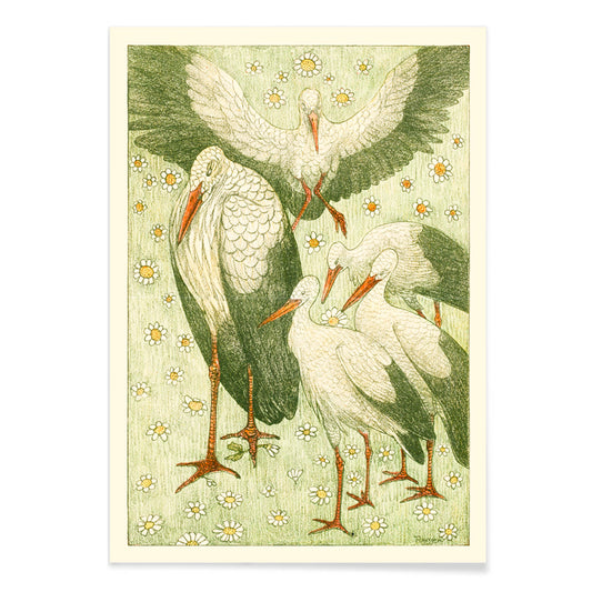 Five storks standing and flying among daisies and flowers in a meadow artwork by Theo van Hoytema poster, with black aluminium frame on white background