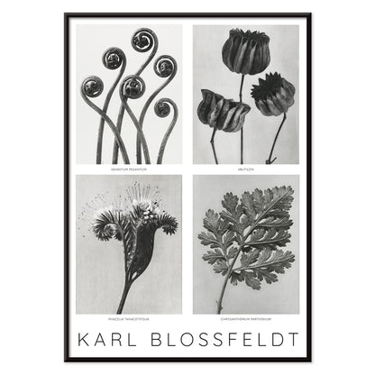 , with black aluminium frame on white background