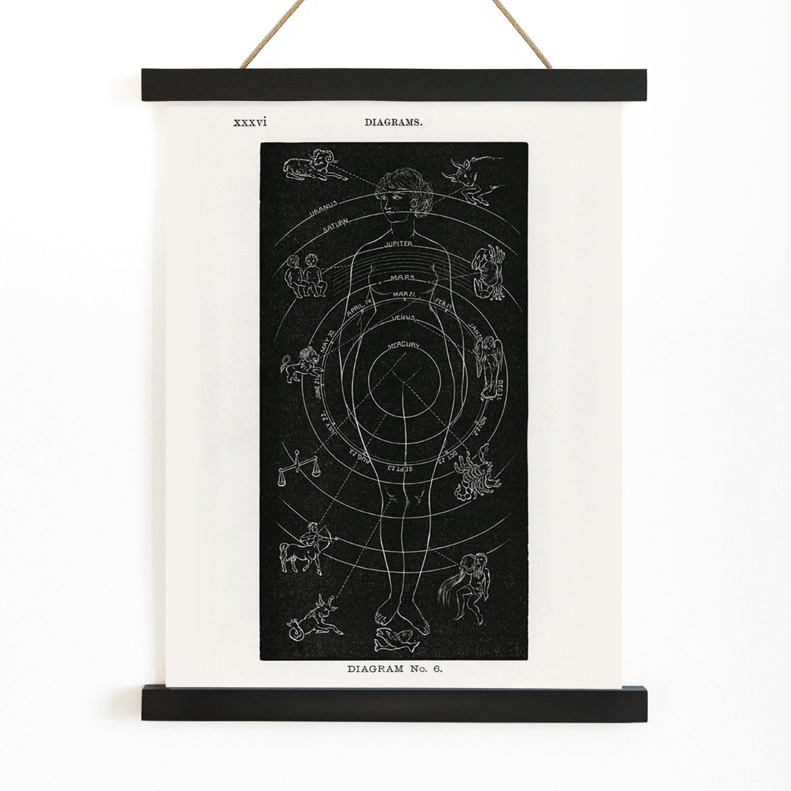 Astrological human body diagram and poster with zodiac signs planets and symbols by Hiram Erastus Butler from Solar Biology, with wooden magnetic frame on white background