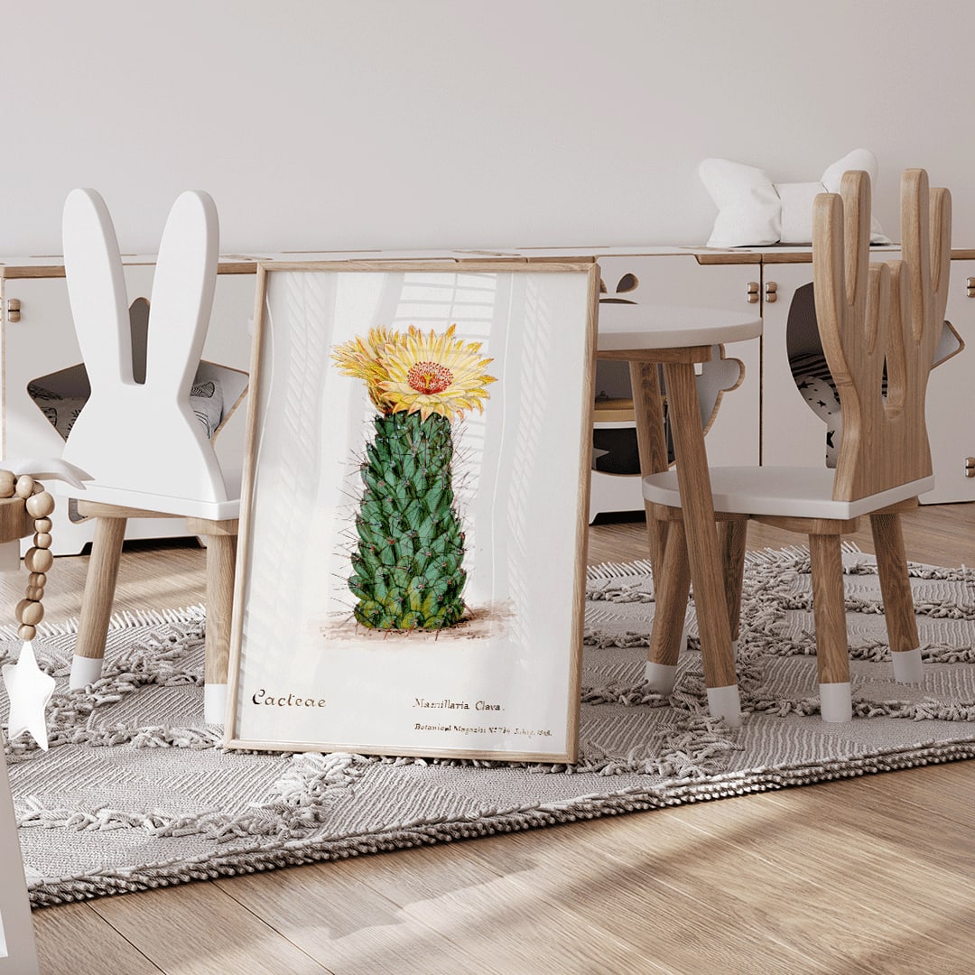 Closeup detail of Beehive cactus illustration and poster blooming cactus from Familie Der Cacteen