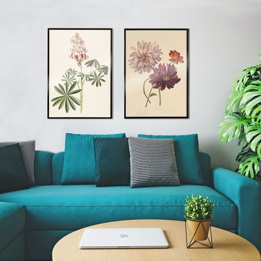 Botanical illustration poster of colorful dahlias in soft pink red and burgundy by Willem Hekking, framed and displayed in home decor