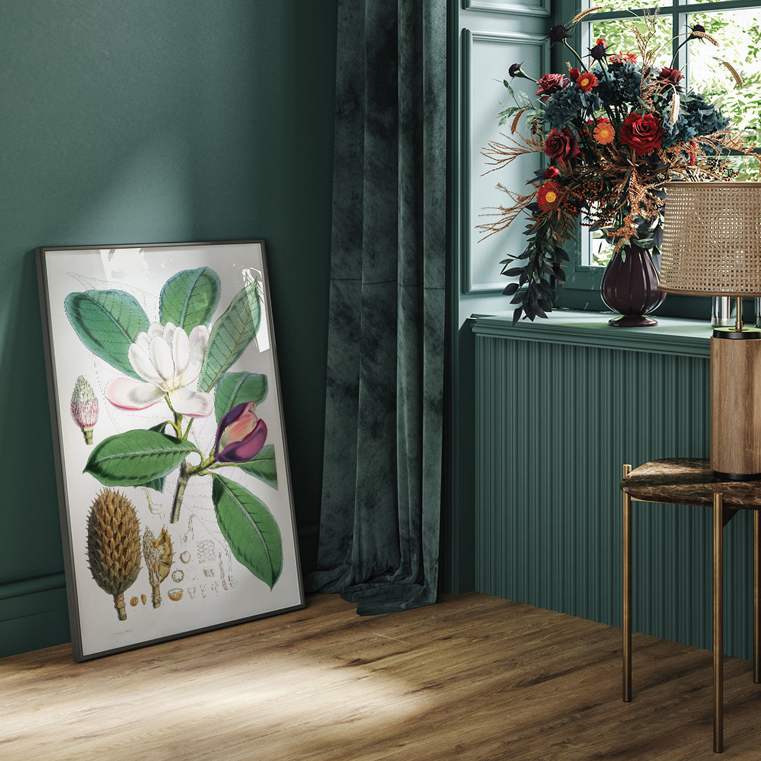 Botanical illustration and poster of Talauma Hodgsoni Magnolia Hodgsonii with detailed flowers and leaves by WH Fitch from Illustrations of Himalayan plants, framed and displayed in home decor