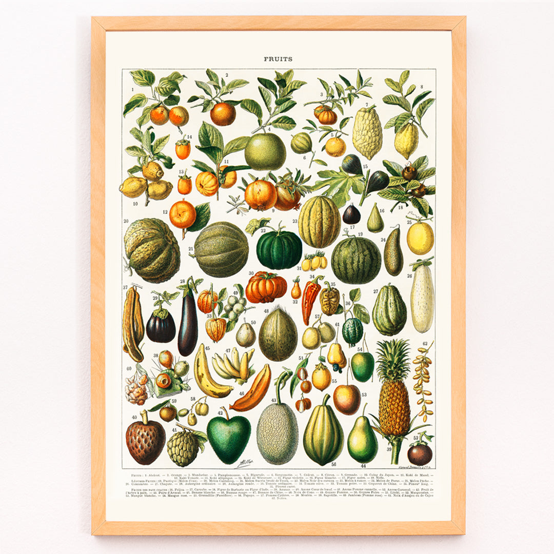 Closeup detail of Vintage illustration poster of diverse fruits and vegetables from Nouveau Larousse Illustre by Larousse Pierre Auge Claude