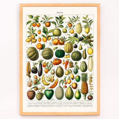 Closeup detail of Vintage illustration poster of diverse fruits and vegetables from Nouveau Larousse Illustre by Larousse Pierre Auge Claude
