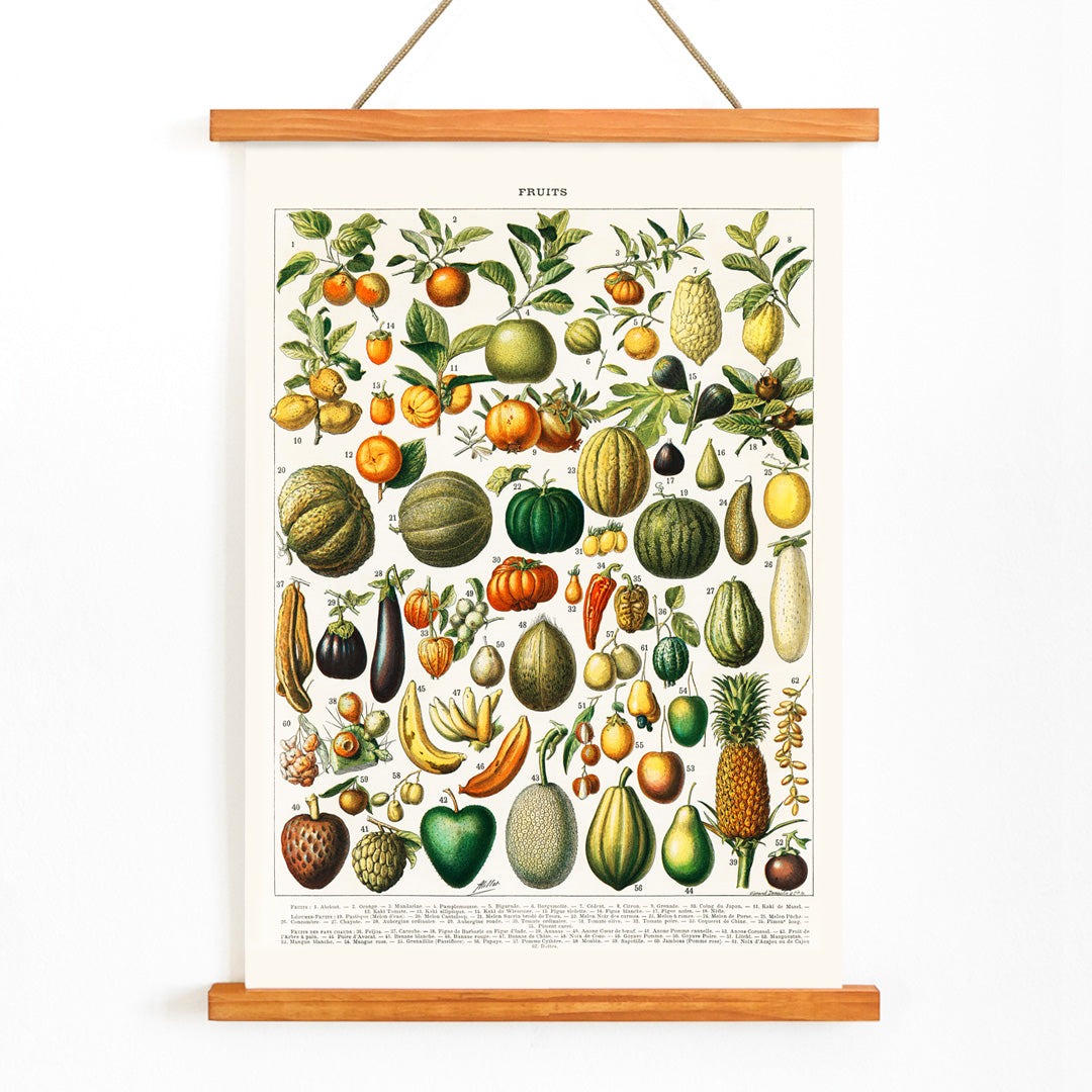 Vintage illustration poster of diverse fruits and vegetables from Nouveau Larousse Illustre by Larousse Pierre Auge Claude, with wooden magnetic frame on white background