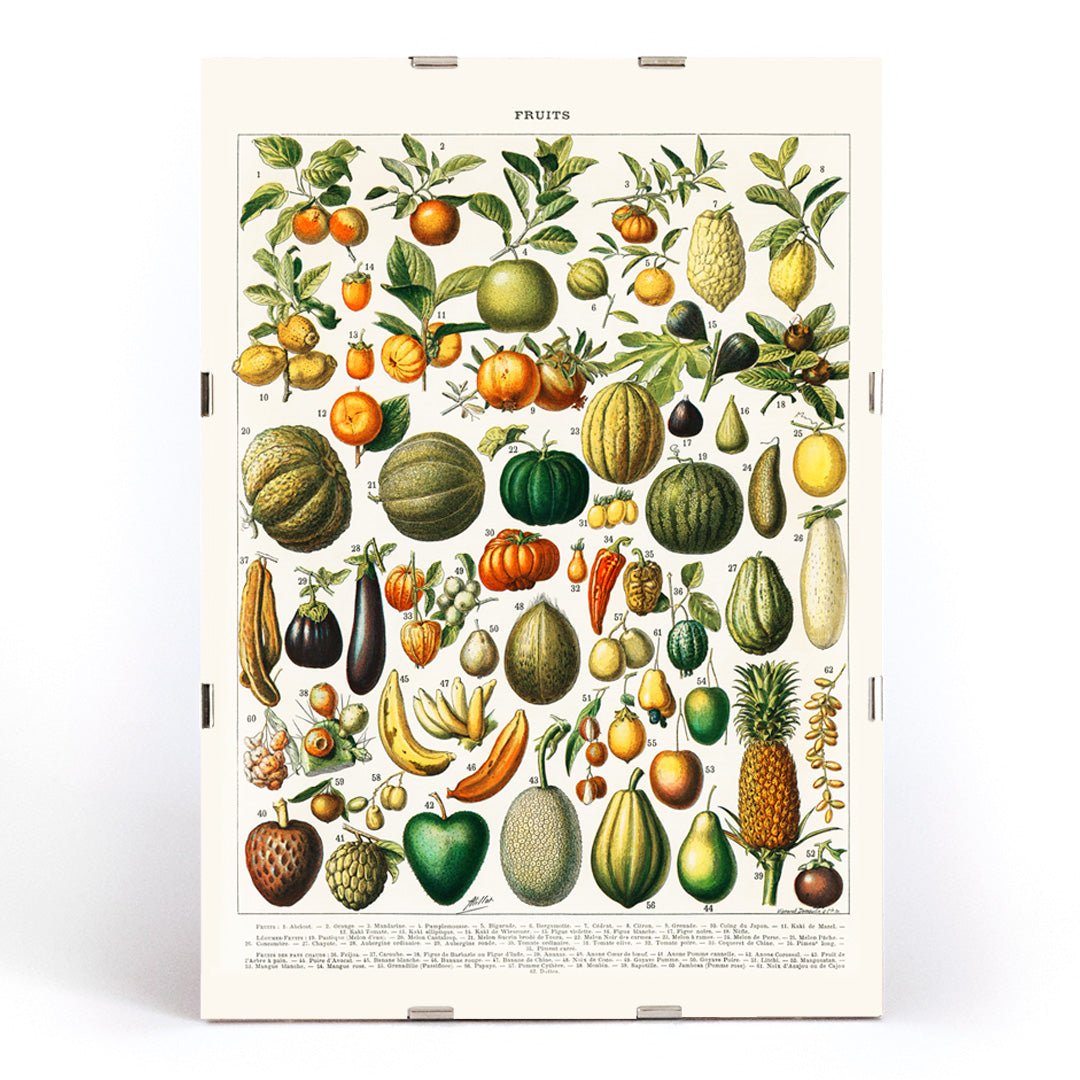 Vintage illustration poster of diverse fruits and vegetables from Nouveau Larousse Illustre by Larousse Pierre Auge Claude, framed and displayed in modern living room decor