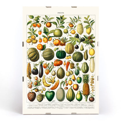 Vintage illustration poster of diverse fruits and vegetables from Nouveau Larousse Illustre by Larousse Pierre Auge Claude, framed and displayed in modern living room decor