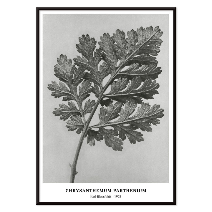 , with black aluminium frame on white background