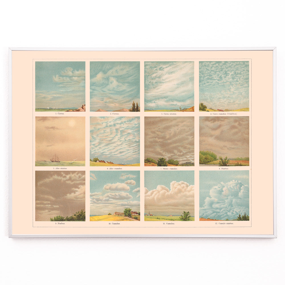 Closeup detail of Vintage illustrated chart and poster of cloud types and formations titled Cloud Shapes by The Institute of Liepzig with descriptive labels