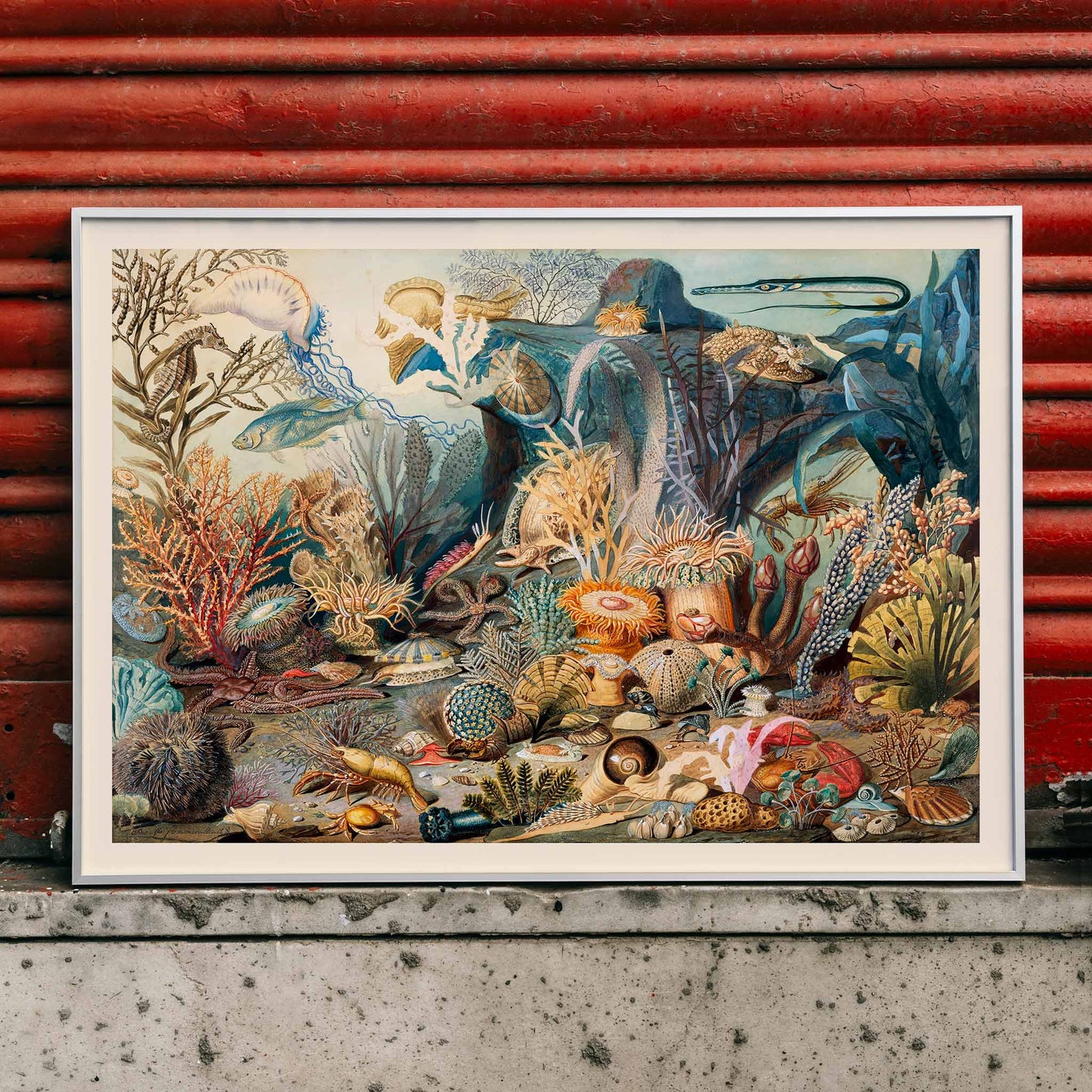 Vibrant underwater scene with colorful marine life plants and sea creatures artwork Ocean Life by James M Sommerville, framed and displayed in home decor