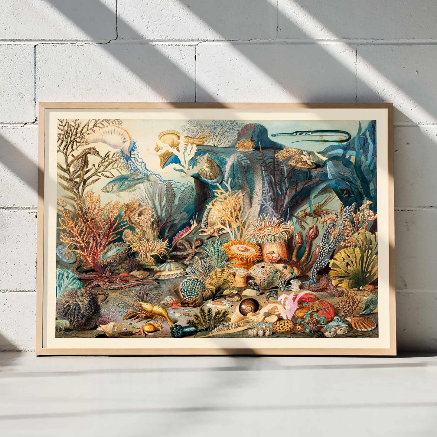 Vibrant underwater scene with colorful marine life plants and sea creatures artwork Ocean Life by James M Sommerville, framed and displayed in modern living room decor
