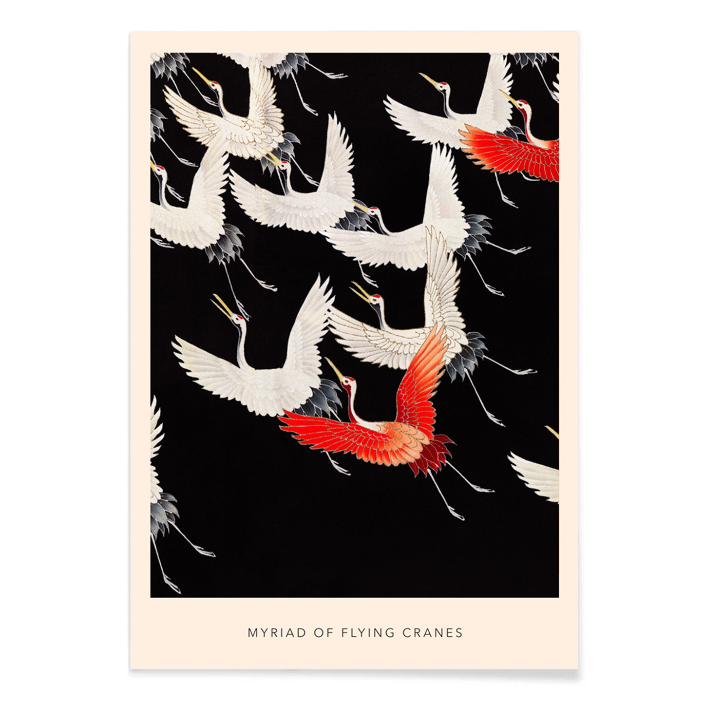 Furisode with a Myriad of Flying Cranes traditional Japanese artwork poster featuring elegant white and red cranes in flight on a black background, with black aluminium frame on white background