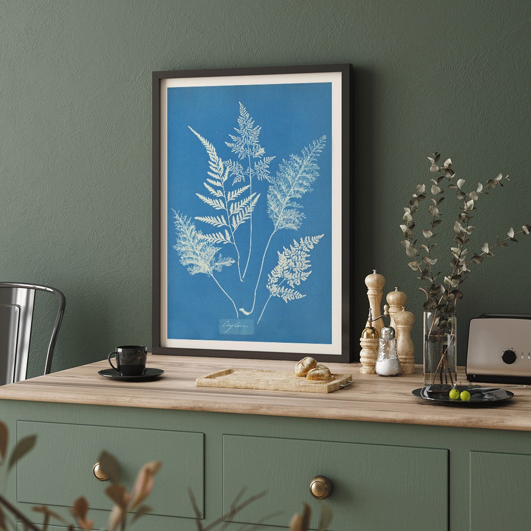 Poster Botanical Art Ferns By Anna Atkins MORYARTY Moryarty Poster Botanical Art Ferns By Anna Atkins MORYARTY Moryarty
