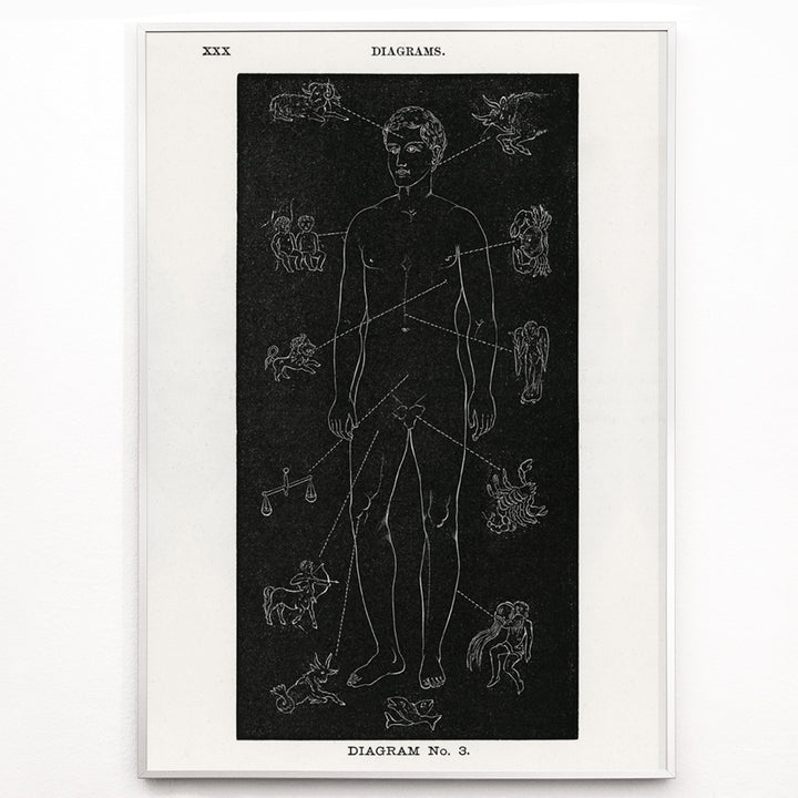 Closeup detail of Human body diagram with astrological zodiac symbols and body part connections from Solar Biology by Hiram Erastus Butler