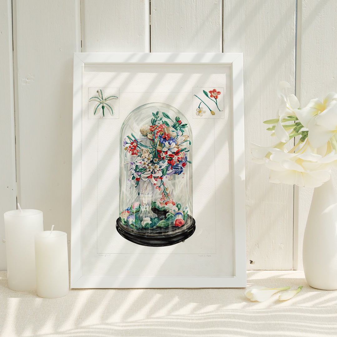 , framed and displayed in home decor