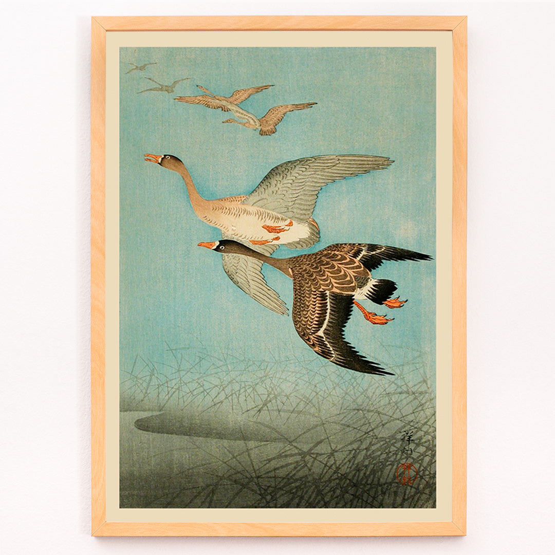 Closeup detail of Flying Geese by Ohara Koson Japanese woodblock print poster with two geese flying over water and reeds artwork wall art print