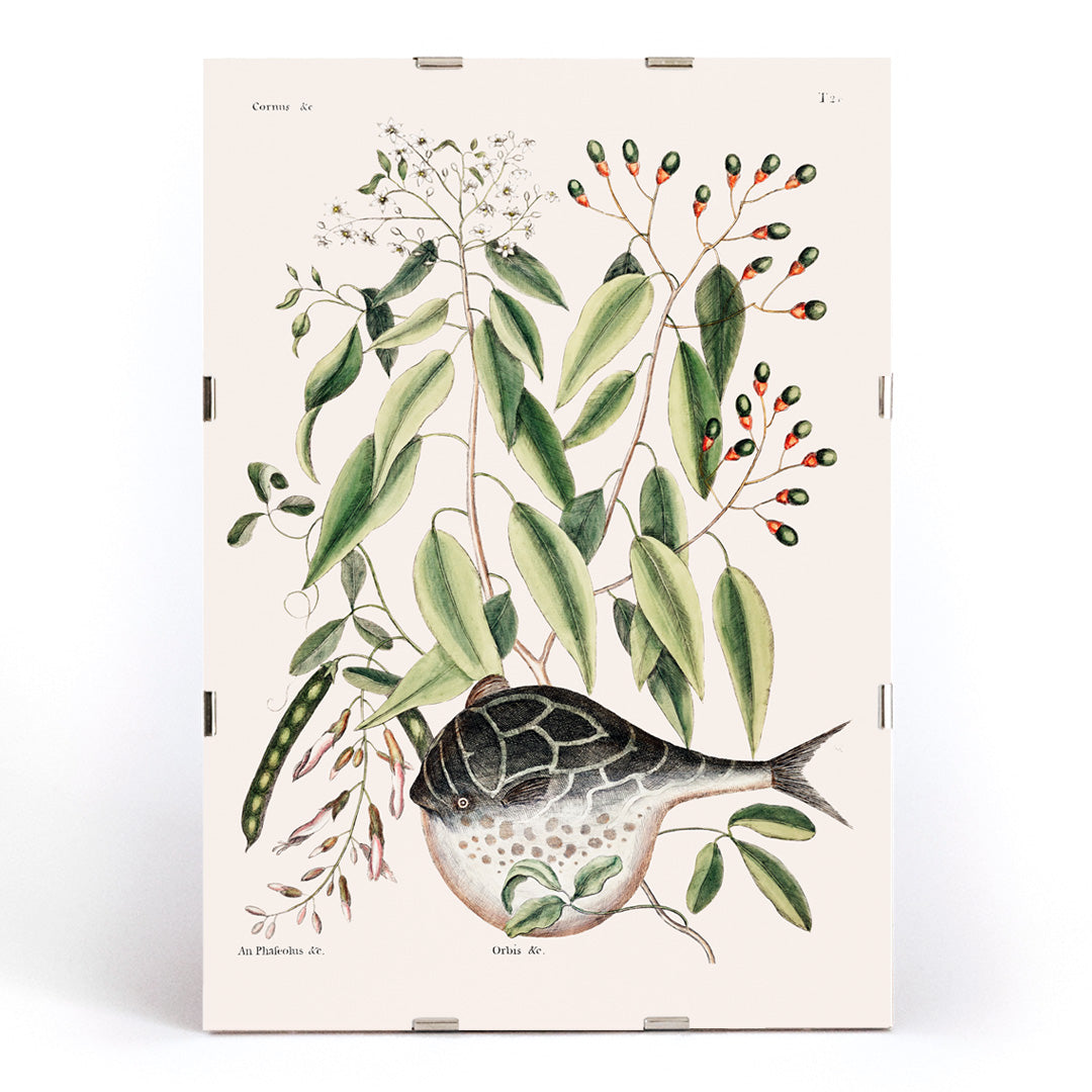 , framed and displayed in modern living room decor