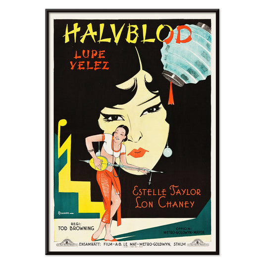 , with black aluminium frame on white background