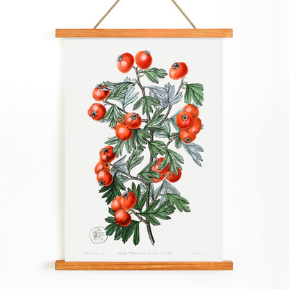 , with wooden magnetic frame on white background