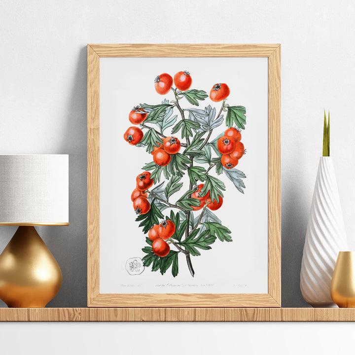 , framed and displayed in home decor