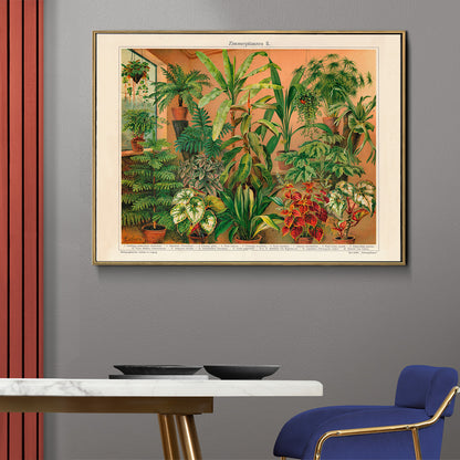 Colorful indoor foliage and potted green plants poster titled House Plants II by Institute of Liepzig featuring various house plants in pots against a warm background, framed and displayed in home decor