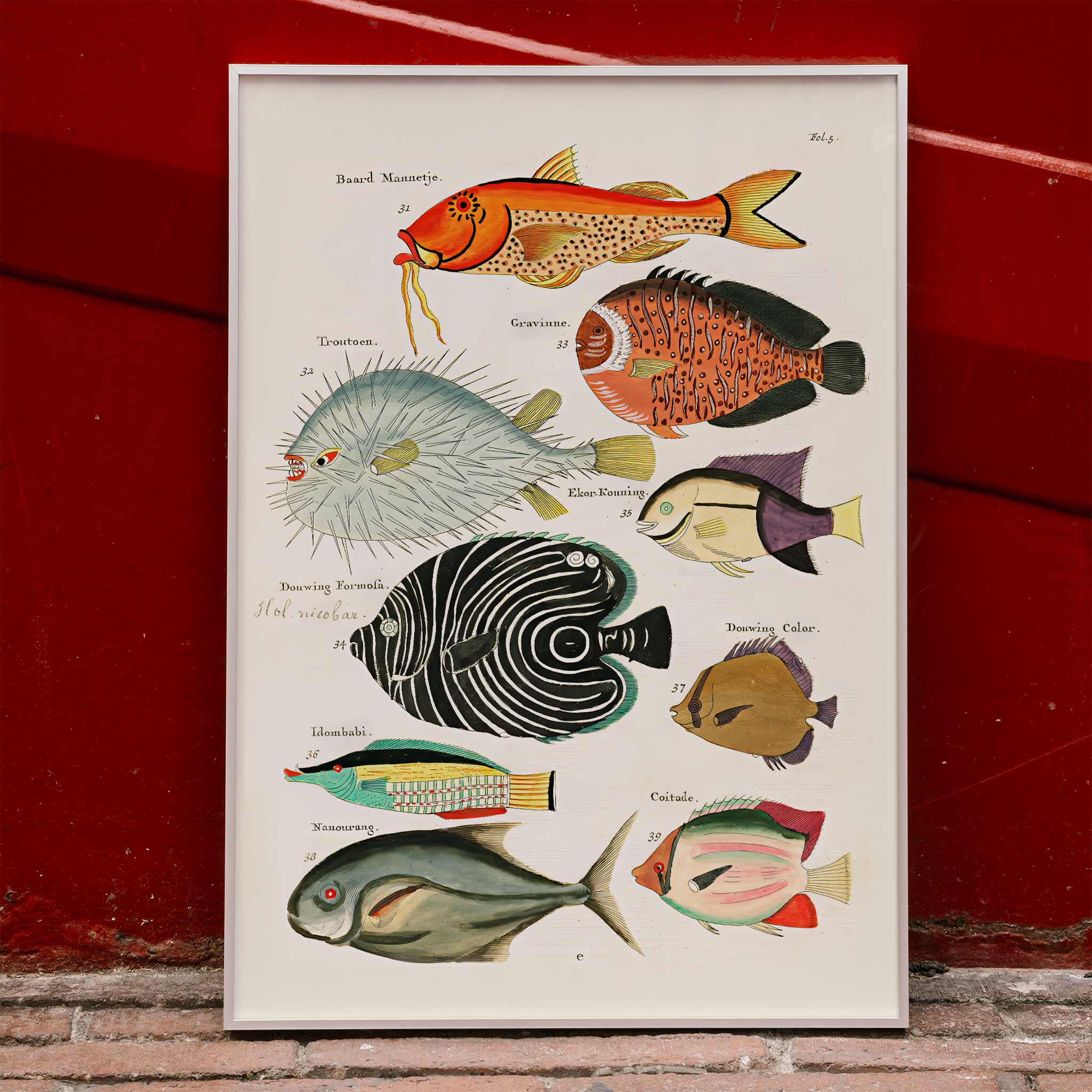 Fish Poster Vintage Poster Colourful Surreal Fish Illustrations