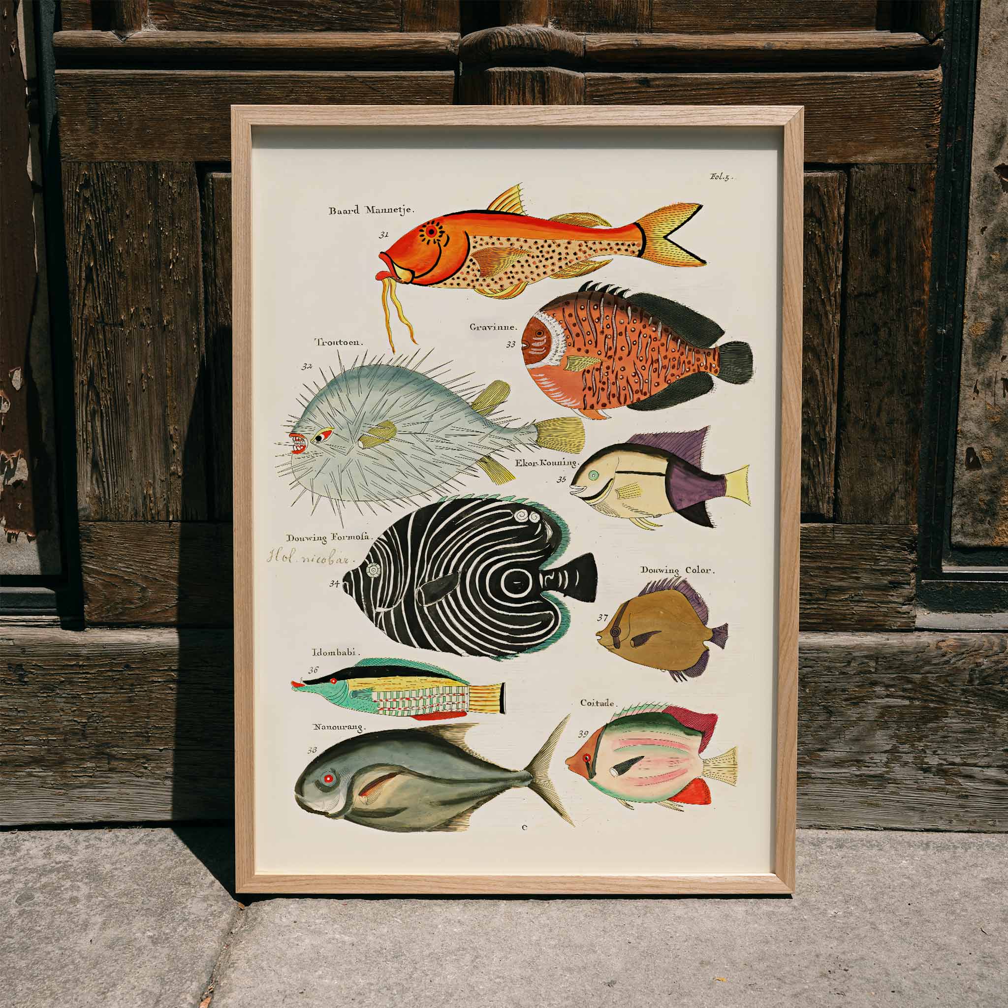 Poster | Colourful surreal fish illustrations East Indies Louis