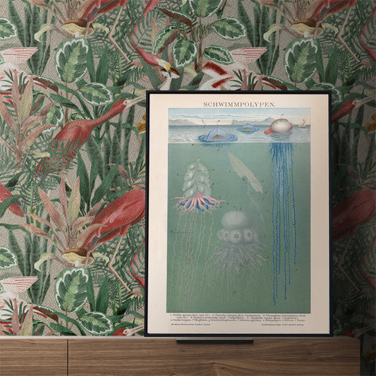 Scientific illustration and poster of marine polyps and jellyfish titled Swimming Polyps by The Institute Of Liepzig wall decor, framed and displayed in home decor