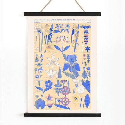 Blue set of leaves and flowers by Owen Jones botanical illustration poster featuring blue and yellow flowers and leaves, with wooden magnetic frame on white background