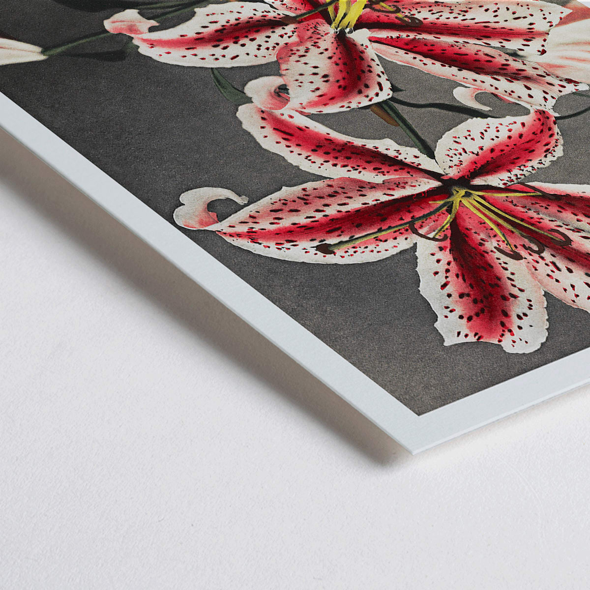 Poster | Lily Flowers by Kazumasa Ogawa | MORYARTY