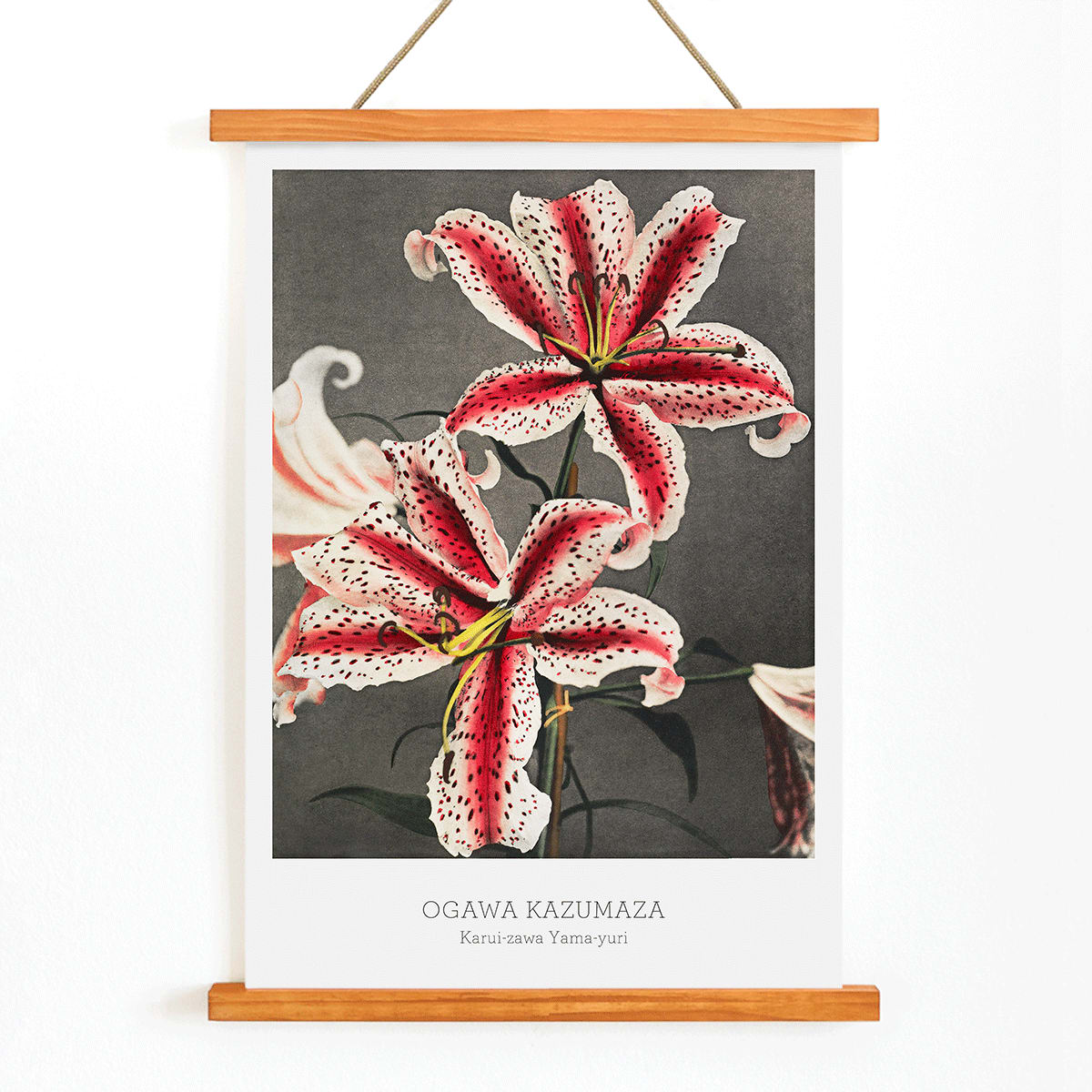 Poster | Lily Flowers by Kazumasa Ogawa | MORYARTY