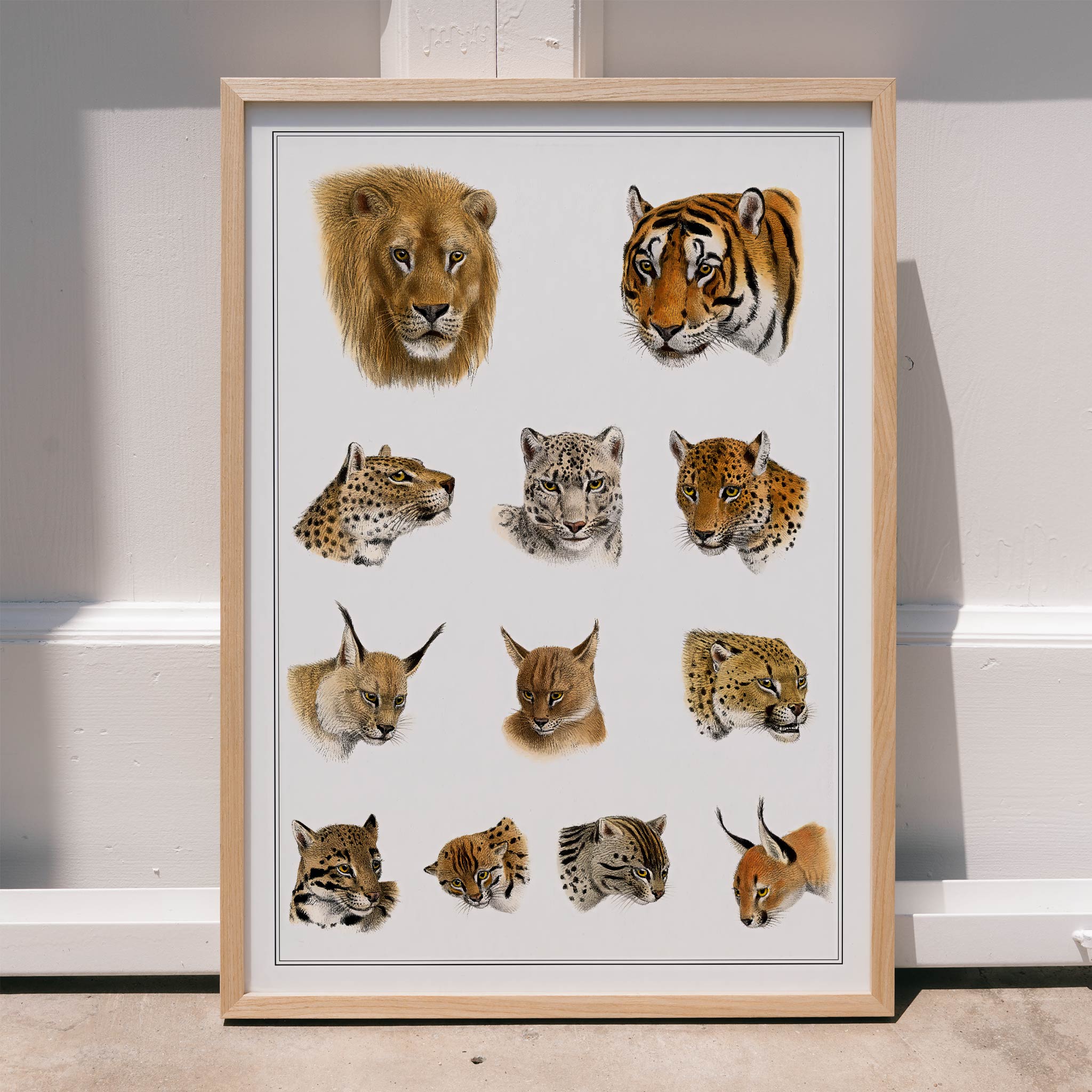 Poster | Wild Animal Safari Lithograph by Richard Lydekker 1900