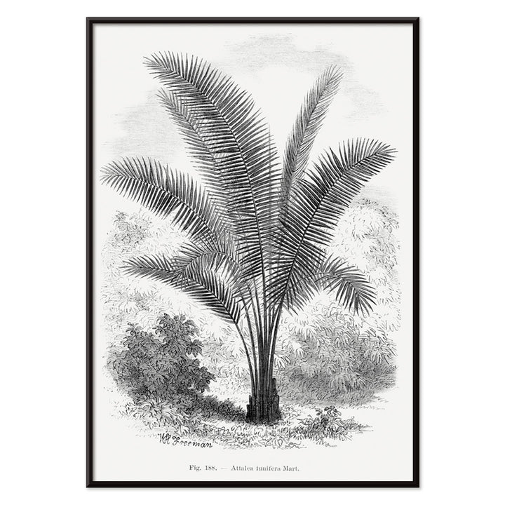 , with black aluminium frame on white background