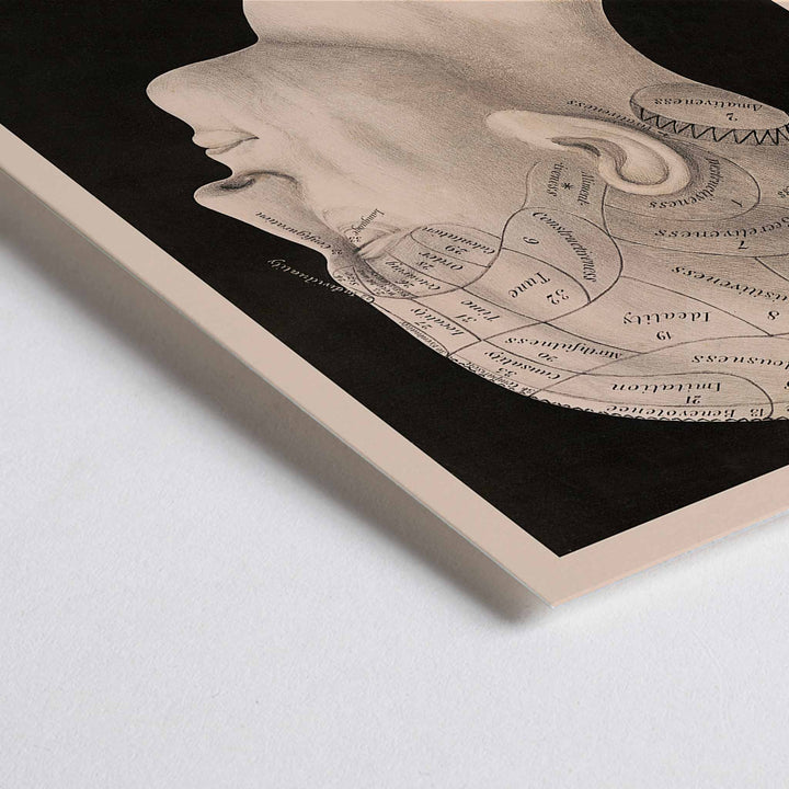 Closeup detail of Dr. Spurzheim Divisions of the organs of phrenology poster labeled human head profile vintage black and white