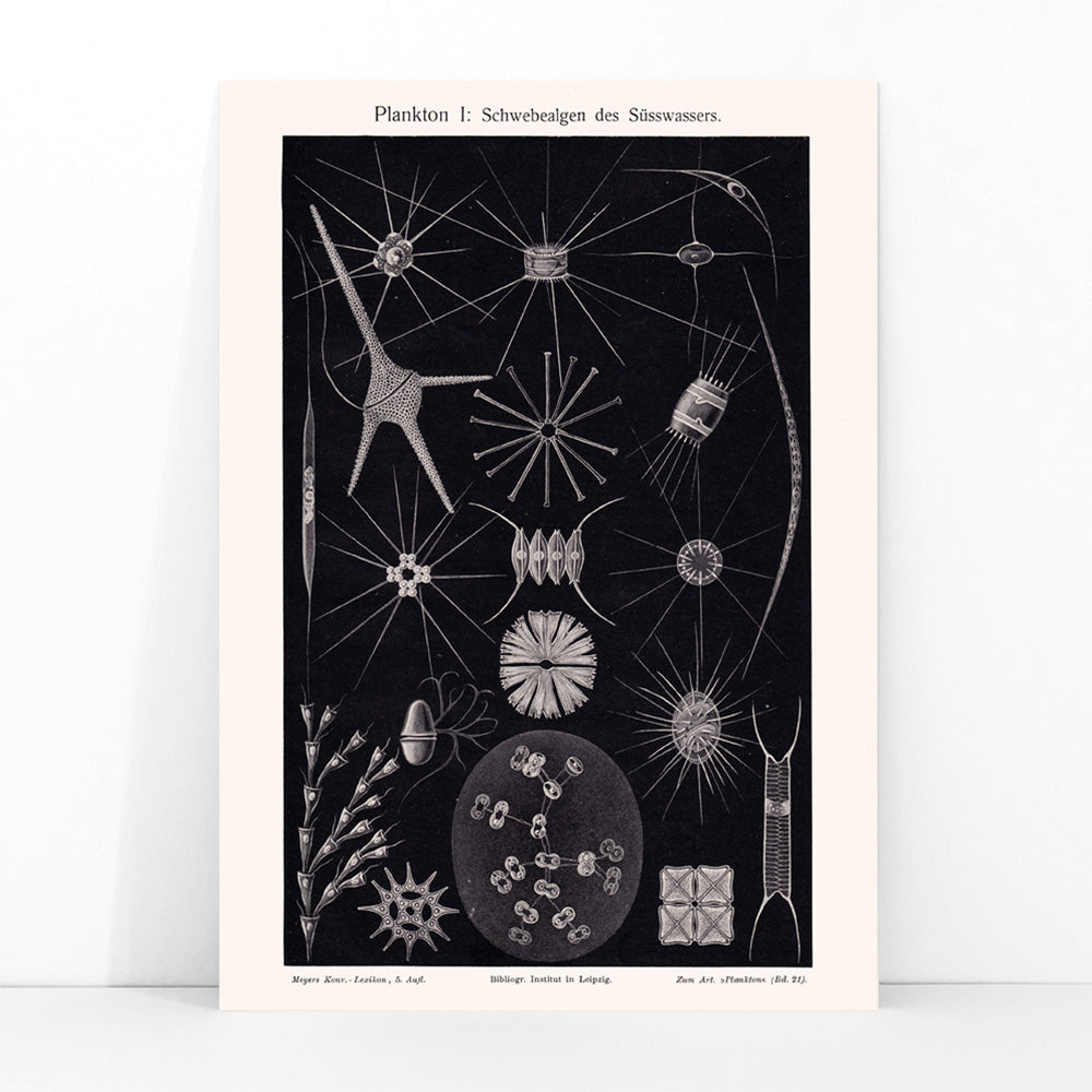 Poster | Plankton II by The Institute of Liepzig | MORYARTY