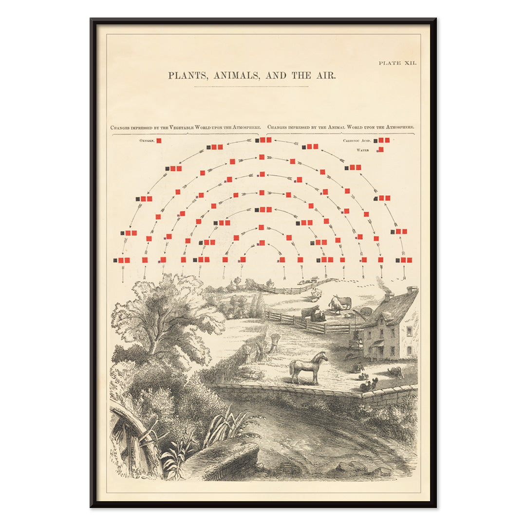 , with black aluminium frame on white background