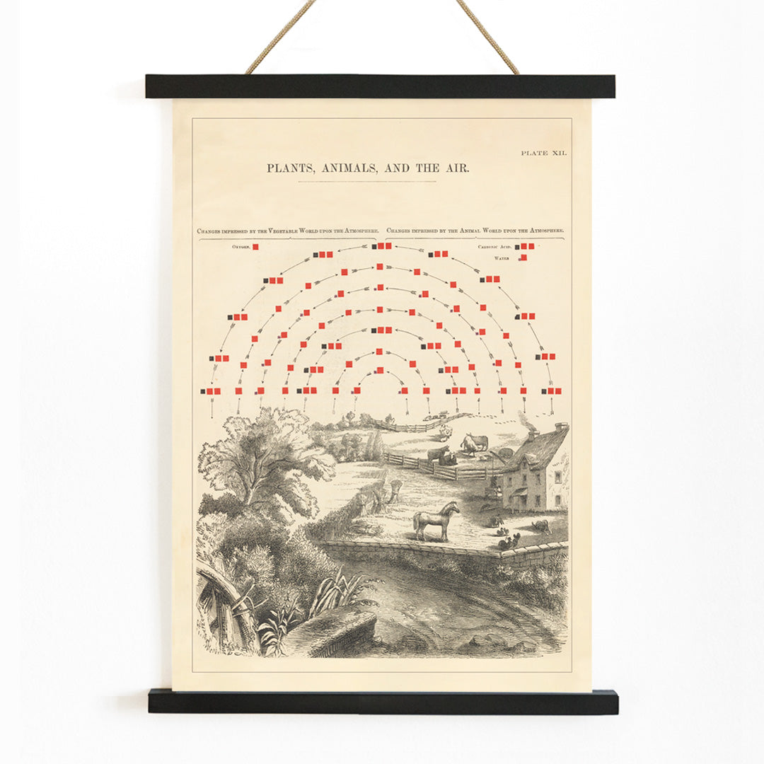 , with wooden magnetic frame on white background