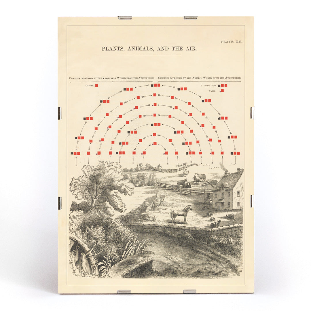 , framed and displayed in modern living room decor