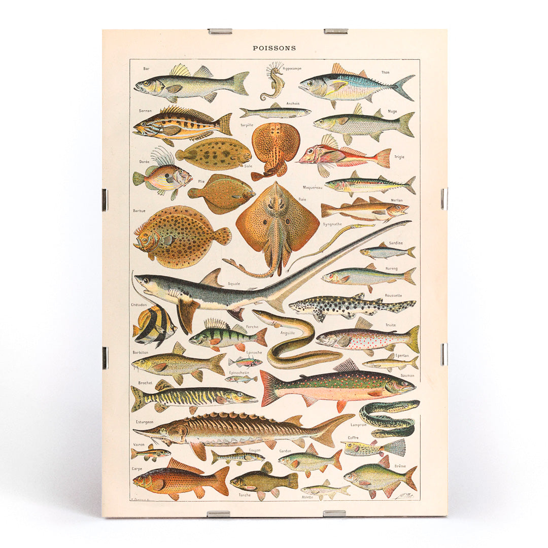 , framed and displayed in modern living room decor