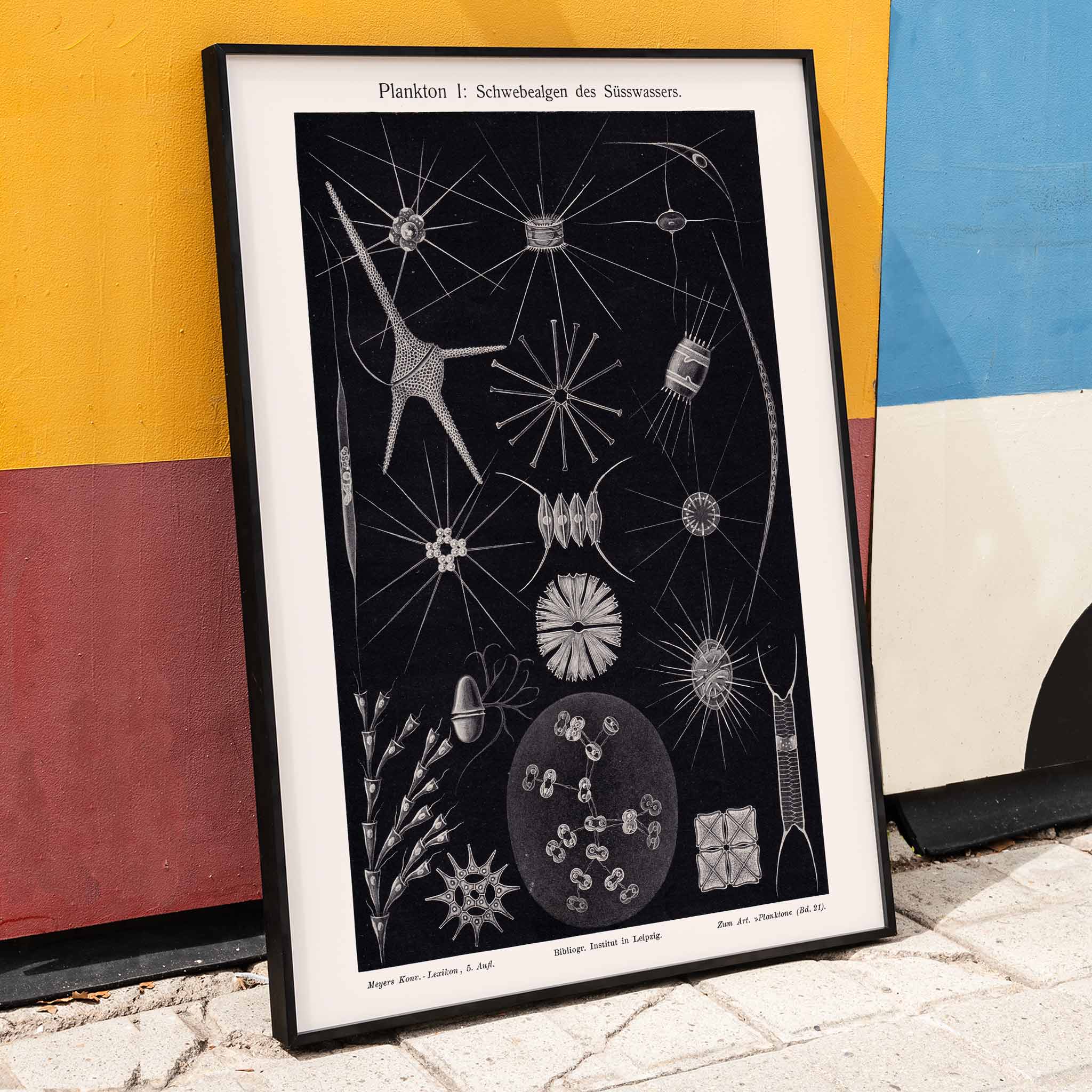 Poster | Plankton II by The Institute of Liepzig | MORYARTY