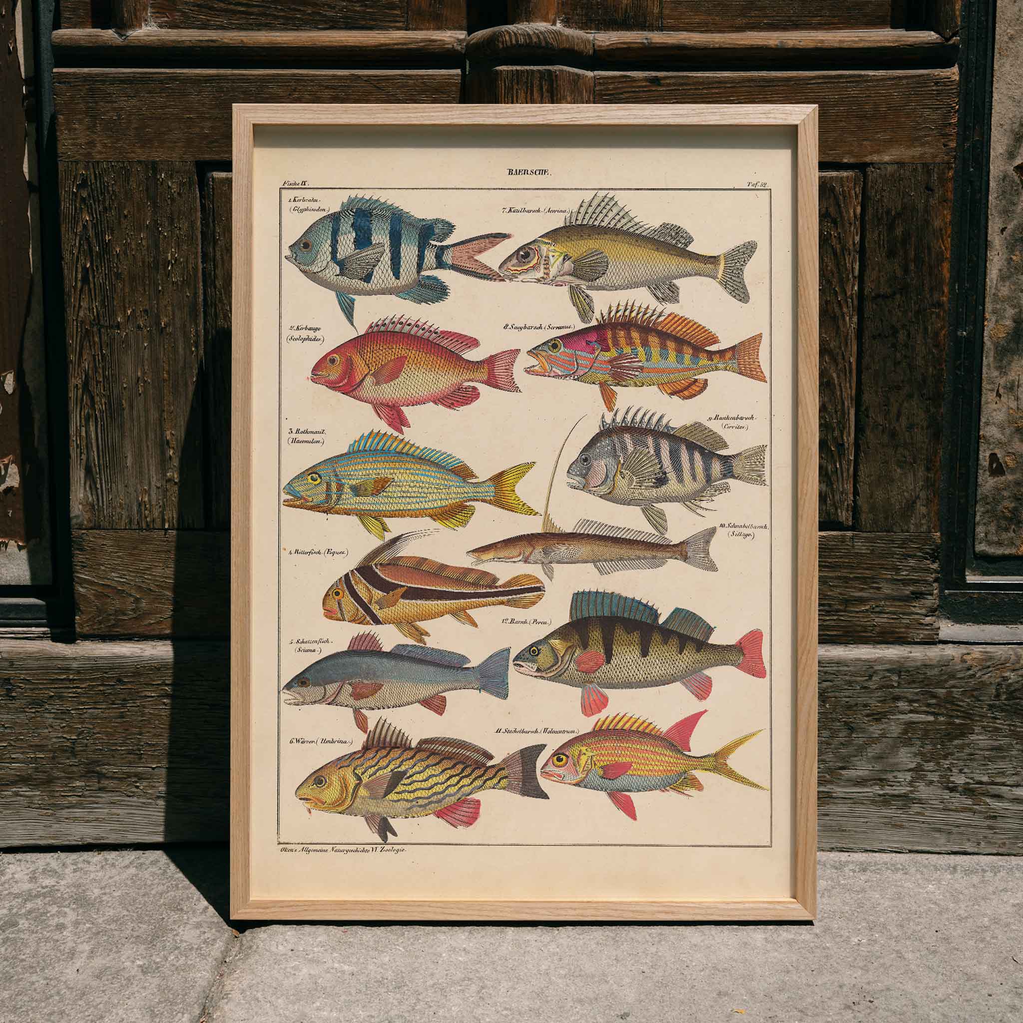 Poster | Fishes - General Natural History for All Classes PI.048