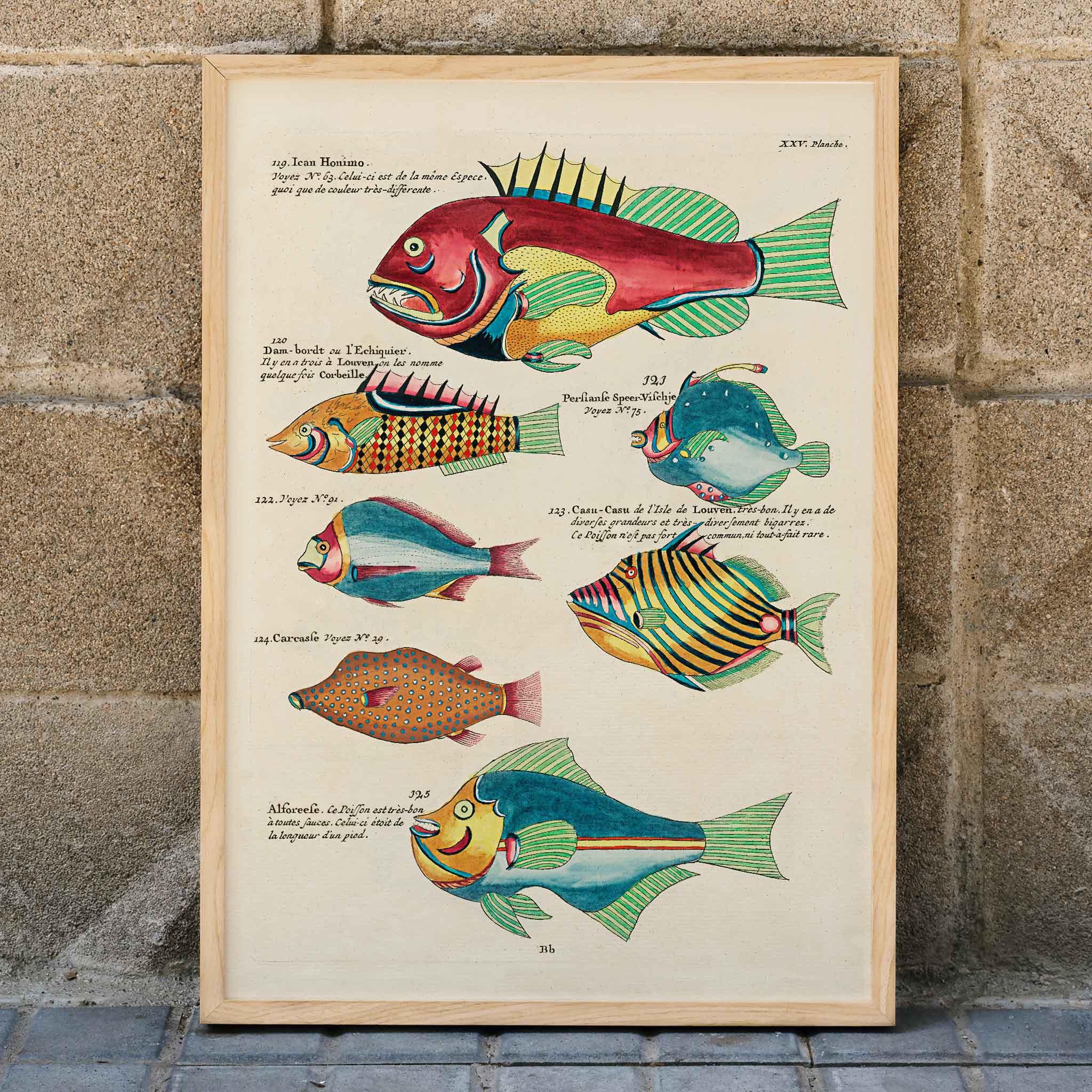 Poster | Colourful Surreal Fish Illustrations by Louis Renard