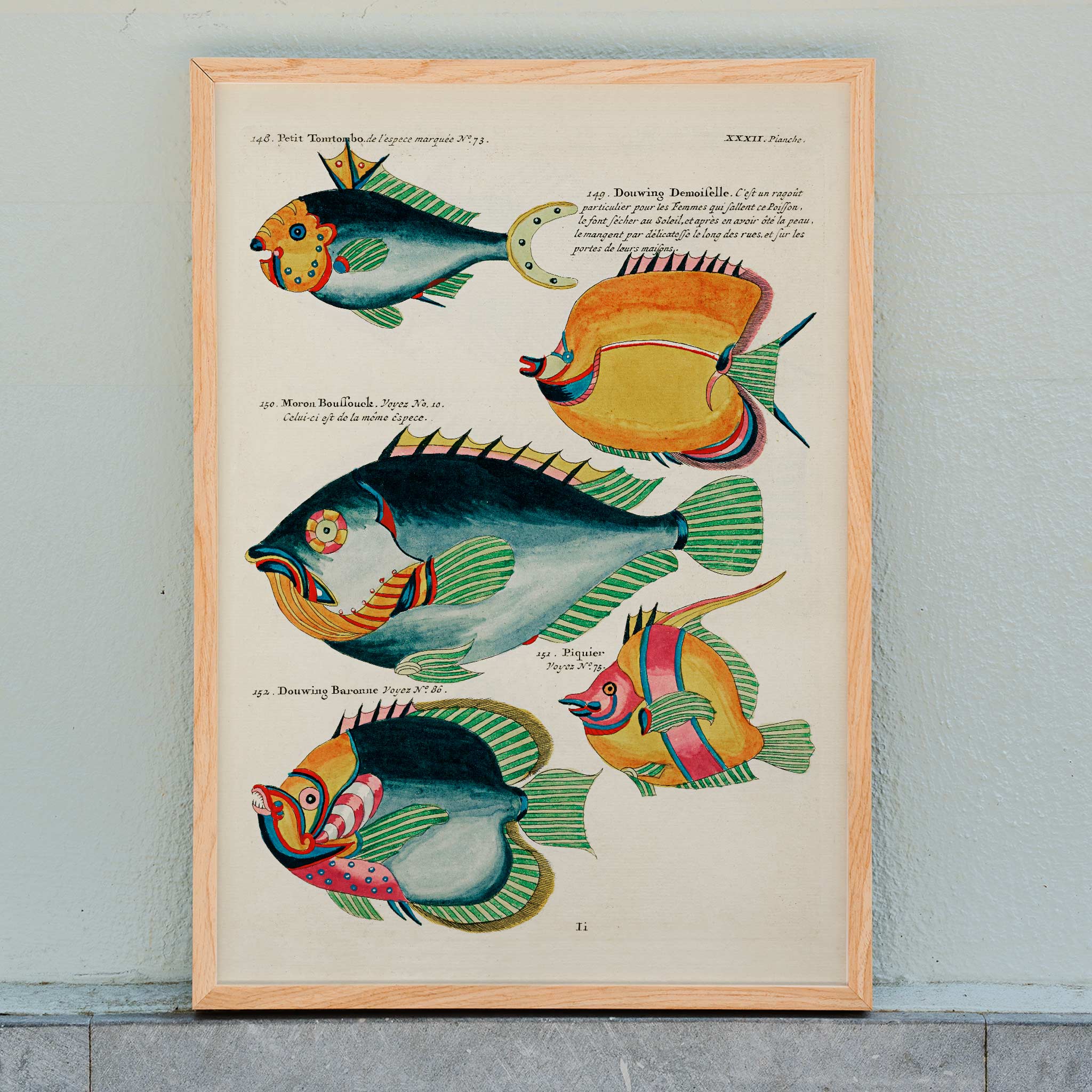 Poster | Colourful surreal fish illustrations East Indies Louis